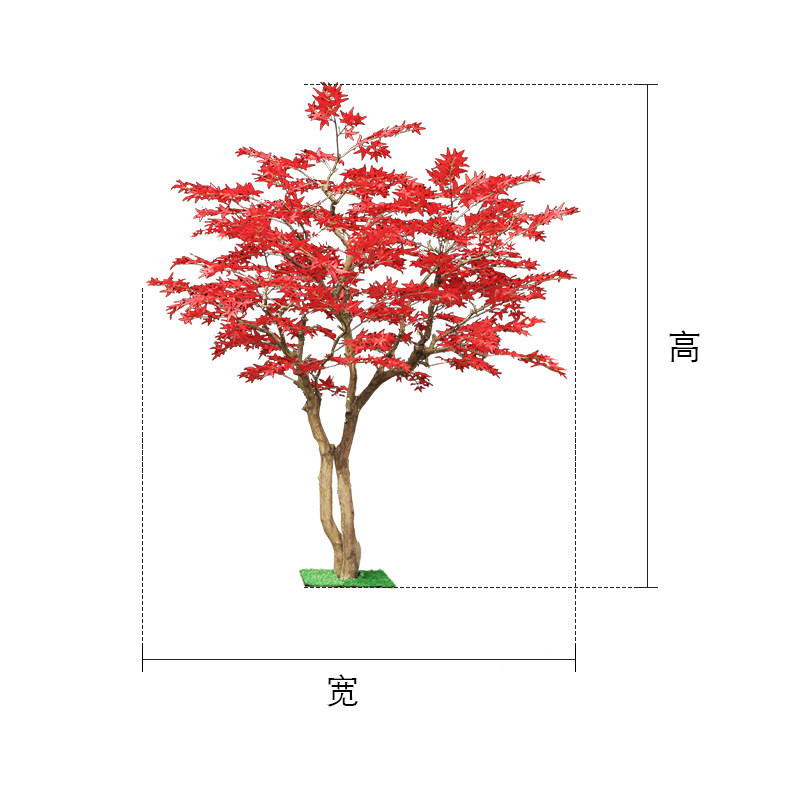 Kırmızı akçaağaç ağacı, yerden - Gardening Hand Tools Japanese incelemesi ve fiyatı