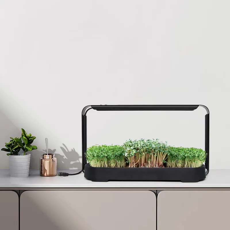 Mikro yeşillikler için kendi k - Self-Watering Planter incelemesi ve fiyatı