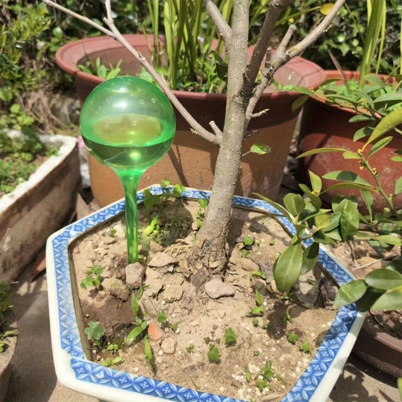 6 adet iç mekan bitkileri kend - Automatic Plant Waterer incelemesi ve fiyatı