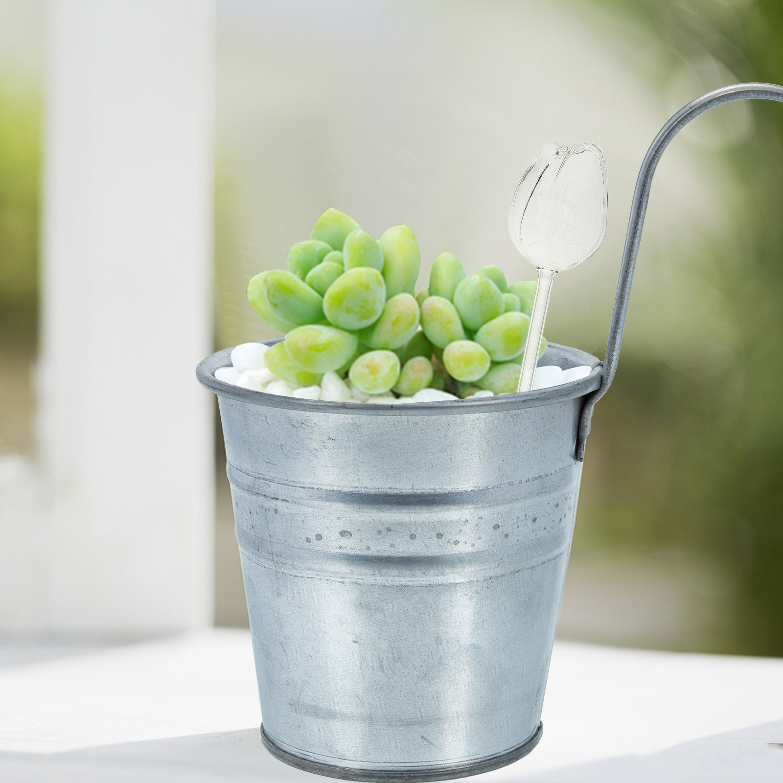 2 Adet Yüksek Kaliteli Borosil - Self-Watering Planter incelemesi ve fiyatı