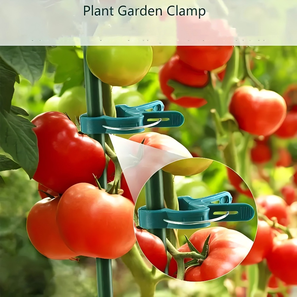 10/30/50 adet Ayarlanabilir Bi - Gardening Tools Essential incelemesi ve fiyatı