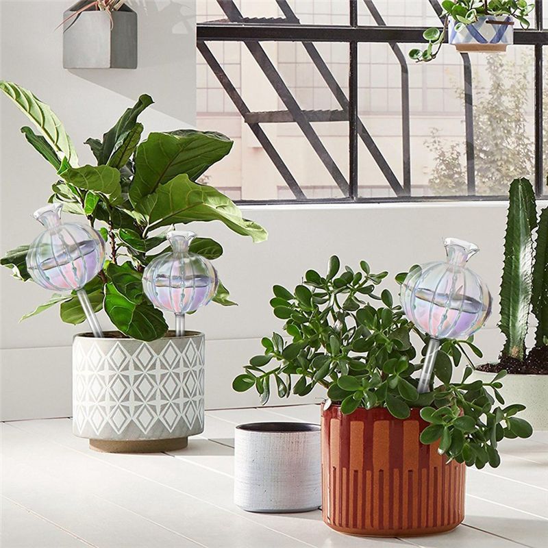 AA94 - Bitki Sulama Ampulleri, - Self-Watering Planter incelemesi ve fiyatı
